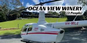 Ocean View Winery Tour (3 people) - Oceanview Heli